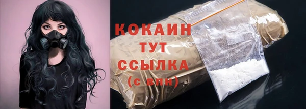 мдпв Бородино