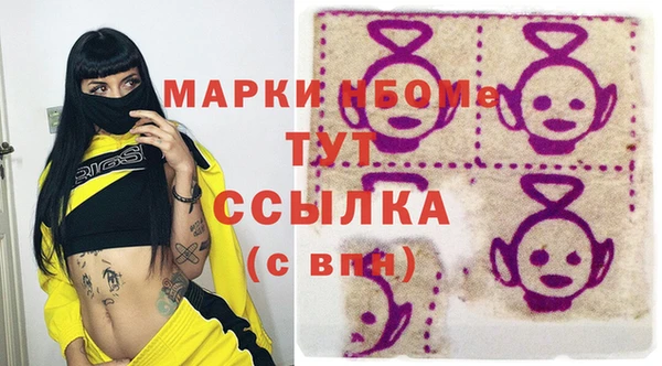 мдпв Бородино