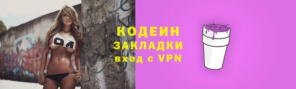 мдпв Бородино