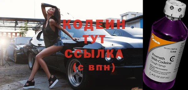 мдпв Бородино