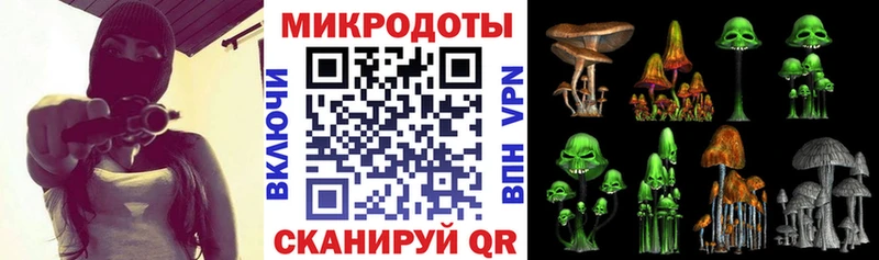 Галлюциногенные грибы Psilocybe  Купить закладки  Плавск 